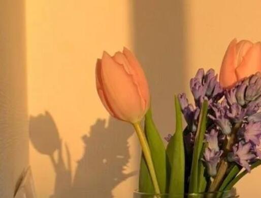 课外书的好句子文案