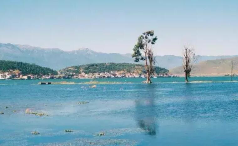 描写四月的优美段落