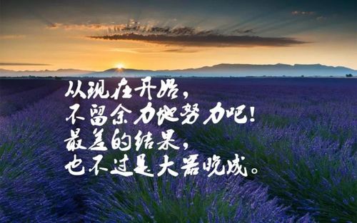 人生哲理句子文案精辟