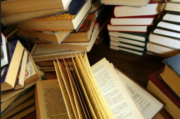 读书笔记摘抄好段及感悟赏析