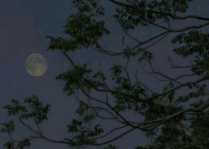 比较有隐喻的讽刺的话