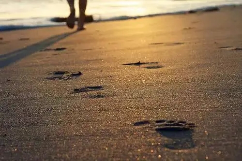 重感情的人的句子文案说说