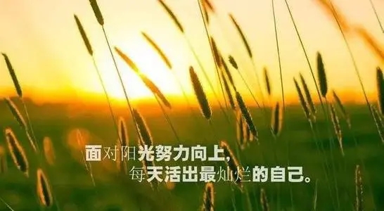 每天励志正能量一段话