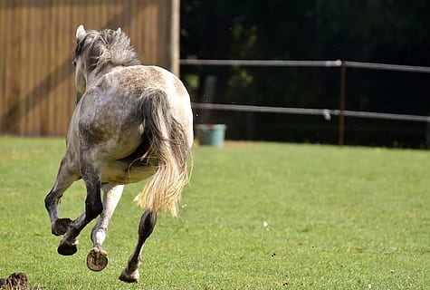 形容相遇很美的句子文案