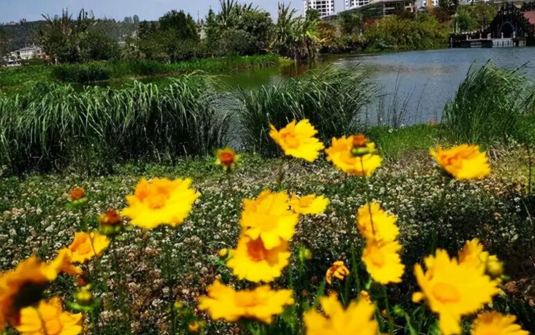 正能量语录文案集