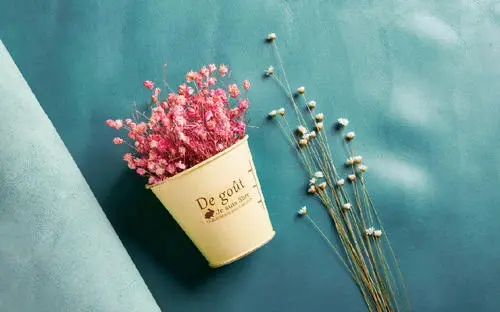 朋友圈干净简单的短句