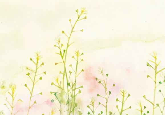 简短唯美诗意的句子文案