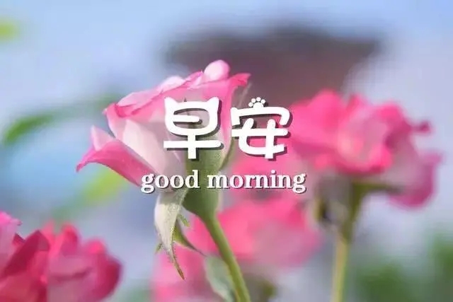 恋爱早安心语简单一句话