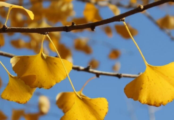 时代变迁的唯美句子文案