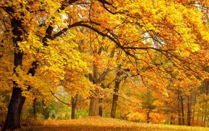 形容天气凉爽舒服的句子文案