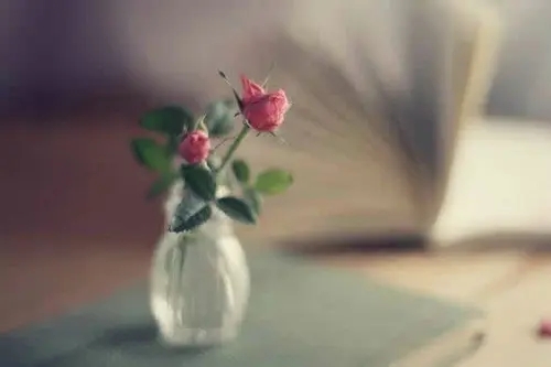 老公去世十年了发表说说文案