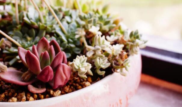 描写冬天寒冷的句子文案