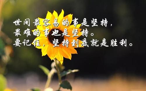 关于真情的句子文案励志