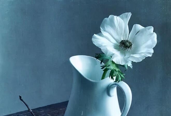 唯美句子文案清新意境