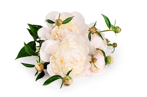 对小三说的话简短