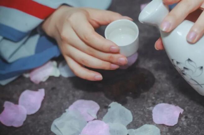 形容落花的诗句文案