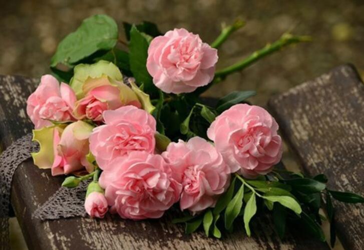 看淡人生的句子文案