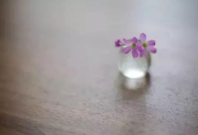 不喜欢心机重的人说说文案