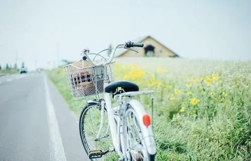 清新唯美的语录文案