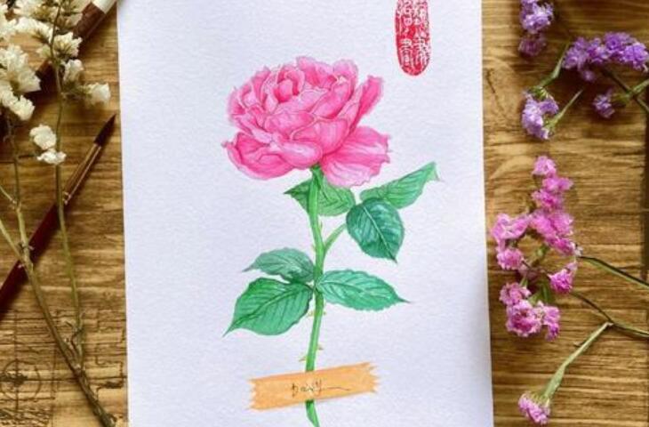 高冷霸气的英文句子文案