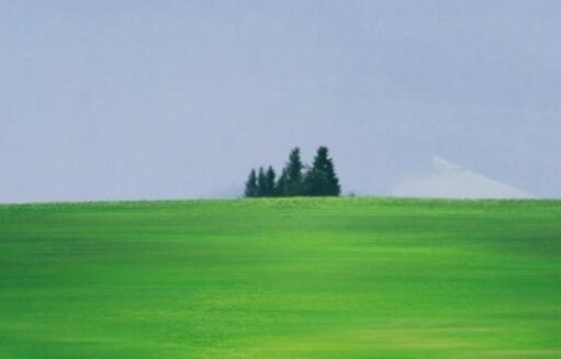 美词佳句摘抄大全高中