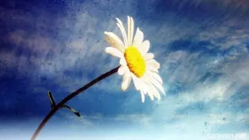 表示对朋友祝福的短句