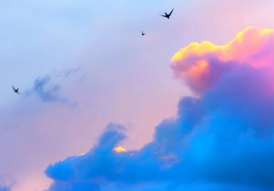 优美的英文句子文案