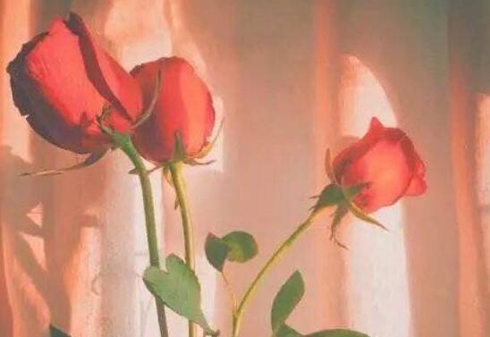 简短微信签名一句话至自己