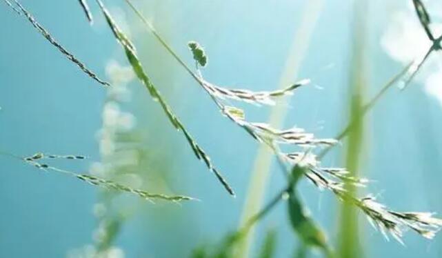 形容三月的天气的短句