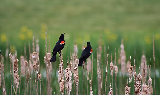 送给自己晚安的一句话