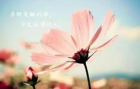 一句简短的唯美句子文案