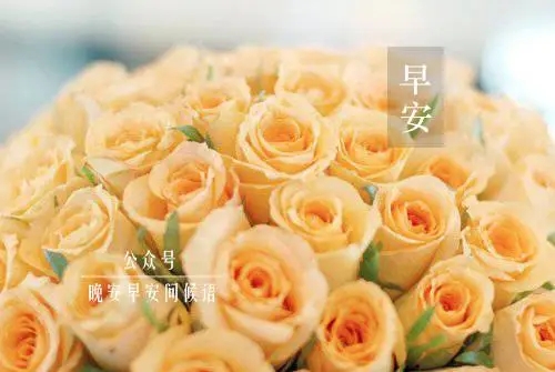 情侣间早安问候甜蜜语言