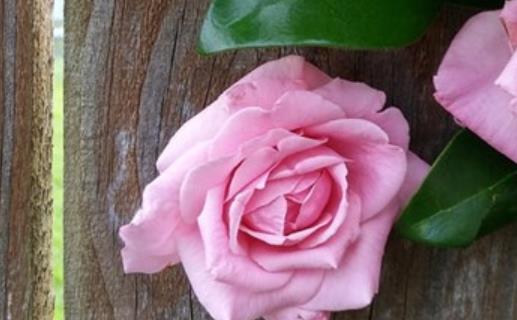 收到礼物发朋友圈的文案