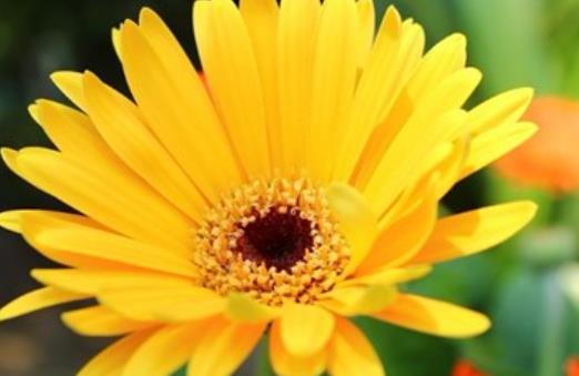 让人感觉伤感的早安说说文案