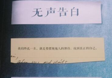 无声告白摘抄加赏析
