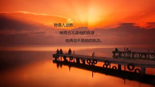 形容迟早要离开的句子文案