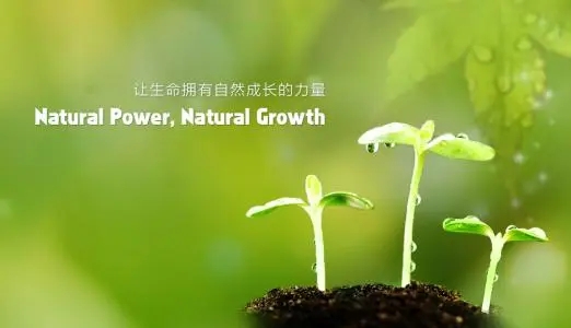 小学生成长语录文案