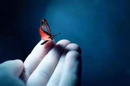 心灵富足的句子文案