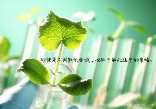 有关夏天的短句子文案大全