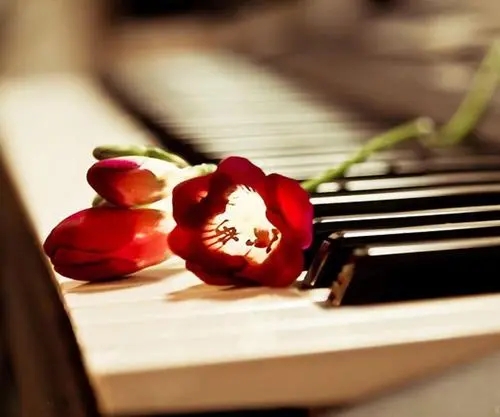 叙事抒情的一段话