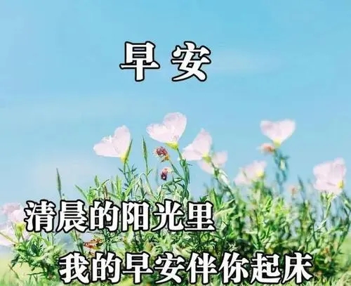 适合发朋友圈的早安问候