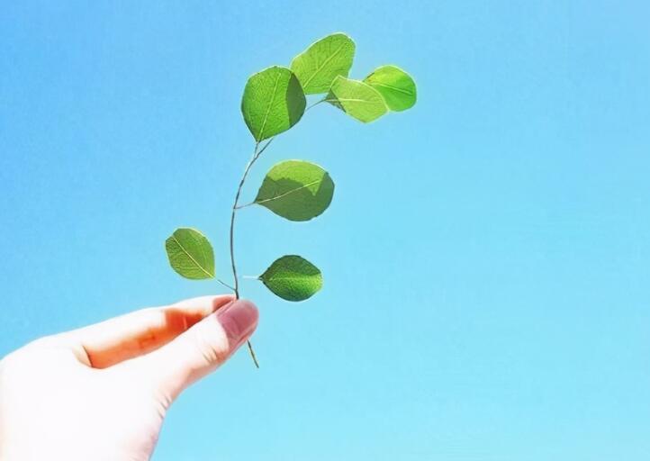 大彻大悟的禅意句子文案