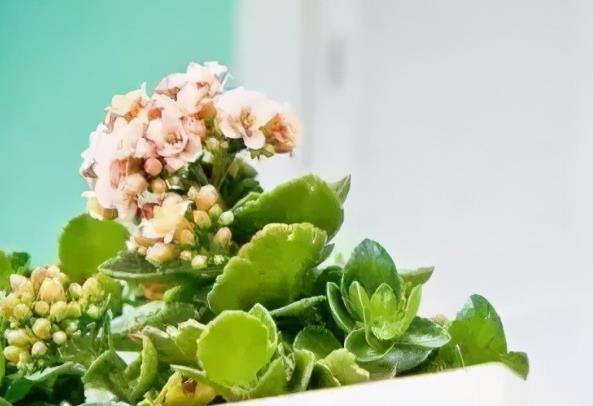 回忆时光的文案