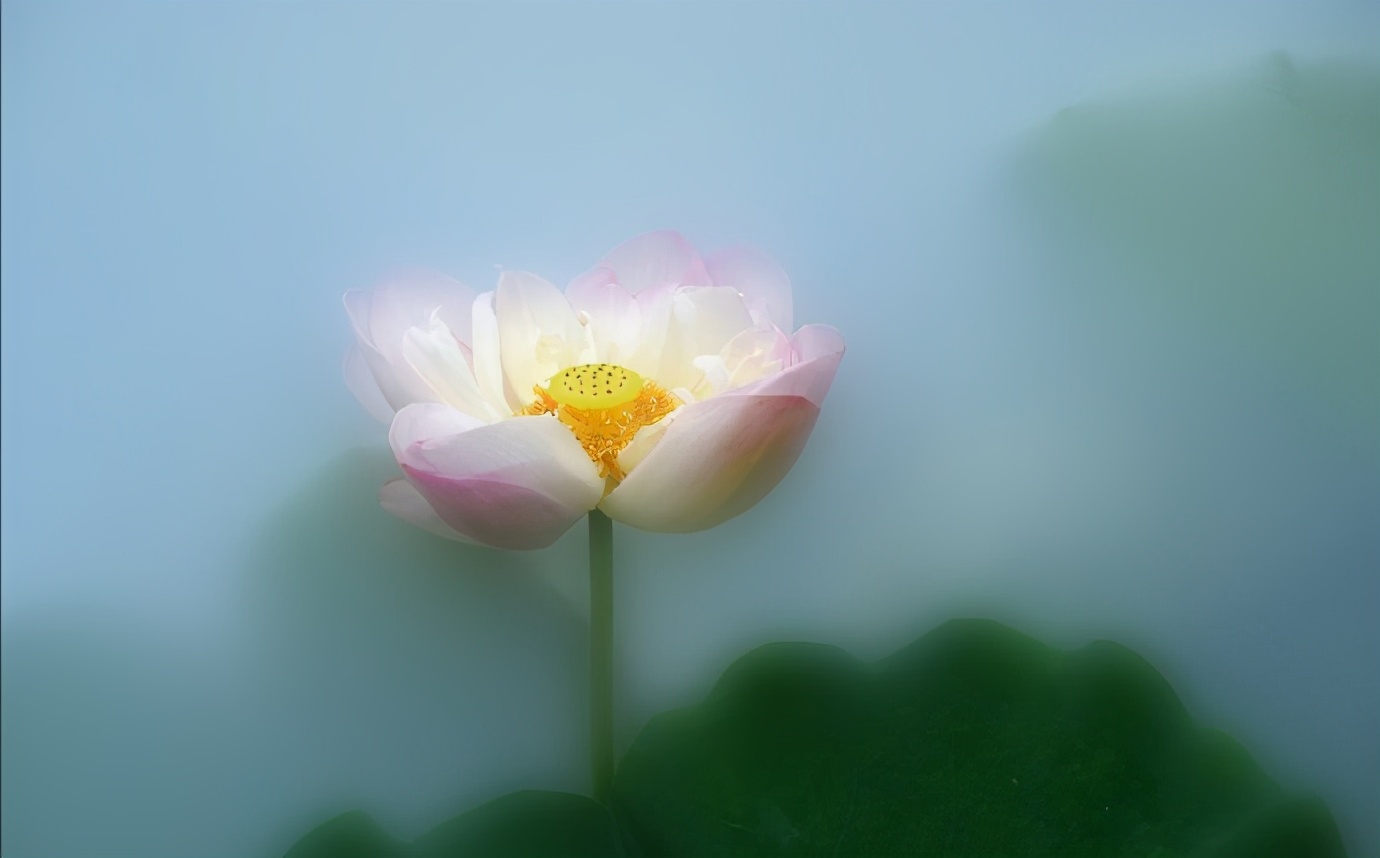 人的忍耐是有限度的句子文案说说