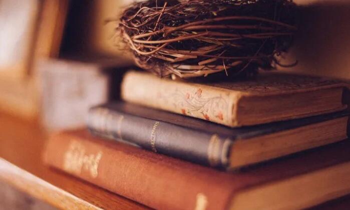 图书馆看书文艺句子文案