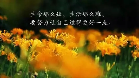 表达无奈心酸的说说文案心情