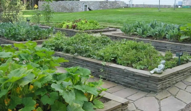 赞美自家的小菜园的说说文案