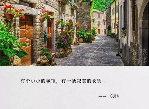 那些美到极致的句子文案