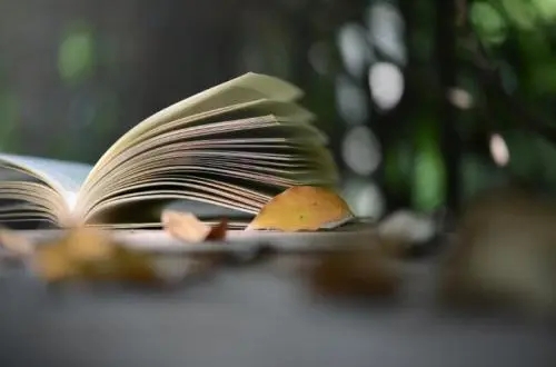 多读书好处的优美句子文案