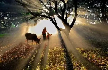 乡间的小路美景的短语